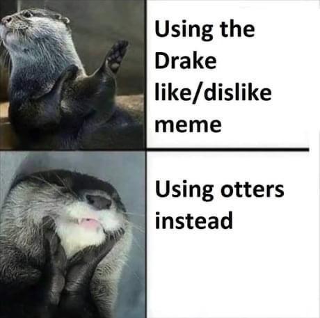 Using the Drake likedislike meme Using otters instead