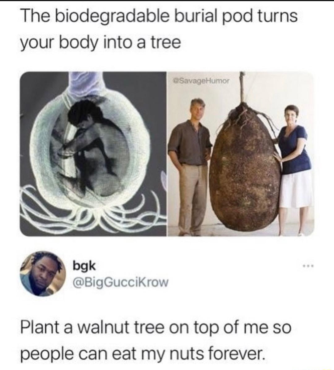 The biodegradable burial pod turns your body into a tree bgk BigGucciKrow Plant a walnut tree on top of me so people can eat my nuts forever