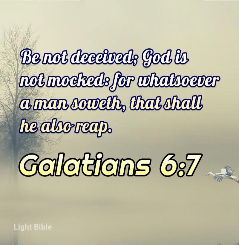 Be not deceived; God is not mocked: for whatsoever a man soweth, that shall he also reap. Galatians 6:7 Light Bible