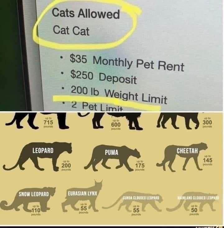 ats Allowed CatCat Oy 35 Monthly Pet Rep 250 Deposit 200 IEWaight Limit 2R i ACL VSR S