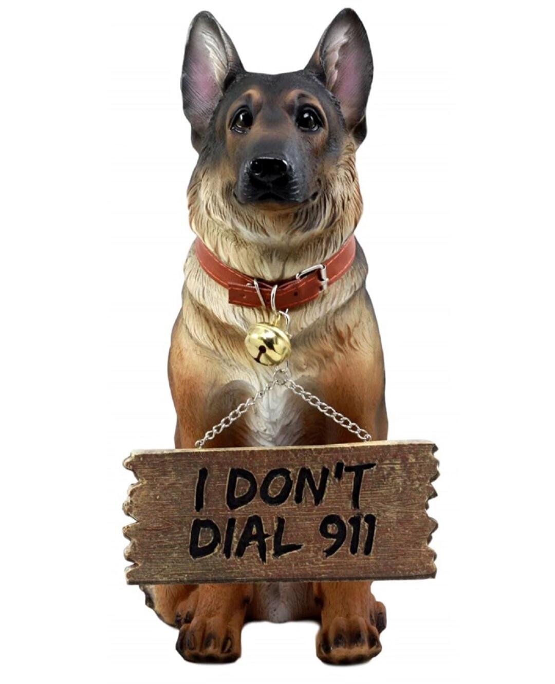 I DON'T DIAL 911