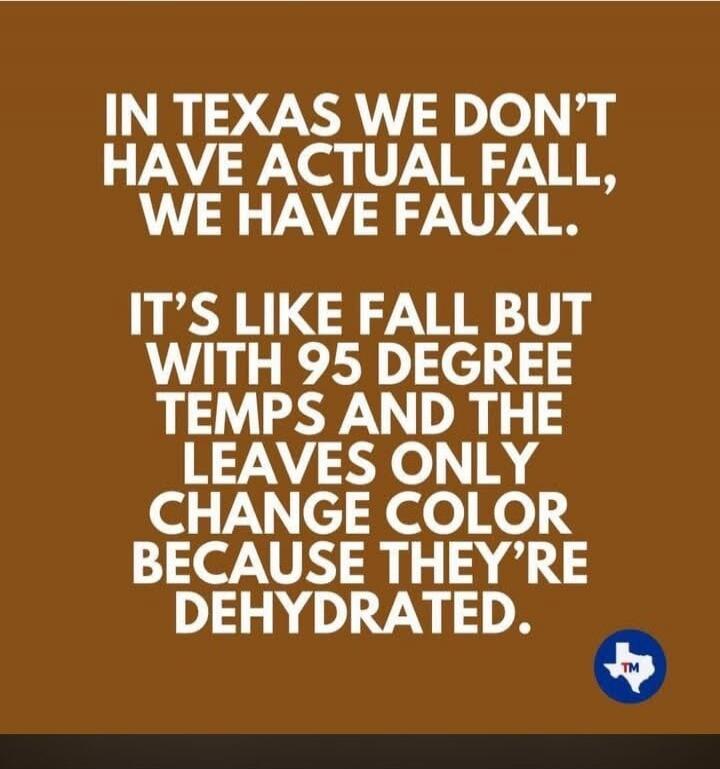 IN TEXAS WE DON'T HAVE ACTUAL FALL, WE HAVE FAUXL. IT'S LIKE FALL BUT WITH 95 DEGREE TEMPS AND THE LEAVES ONLY CHANGE COLOR BECAUSE THEY'RE DEHYDRATED.