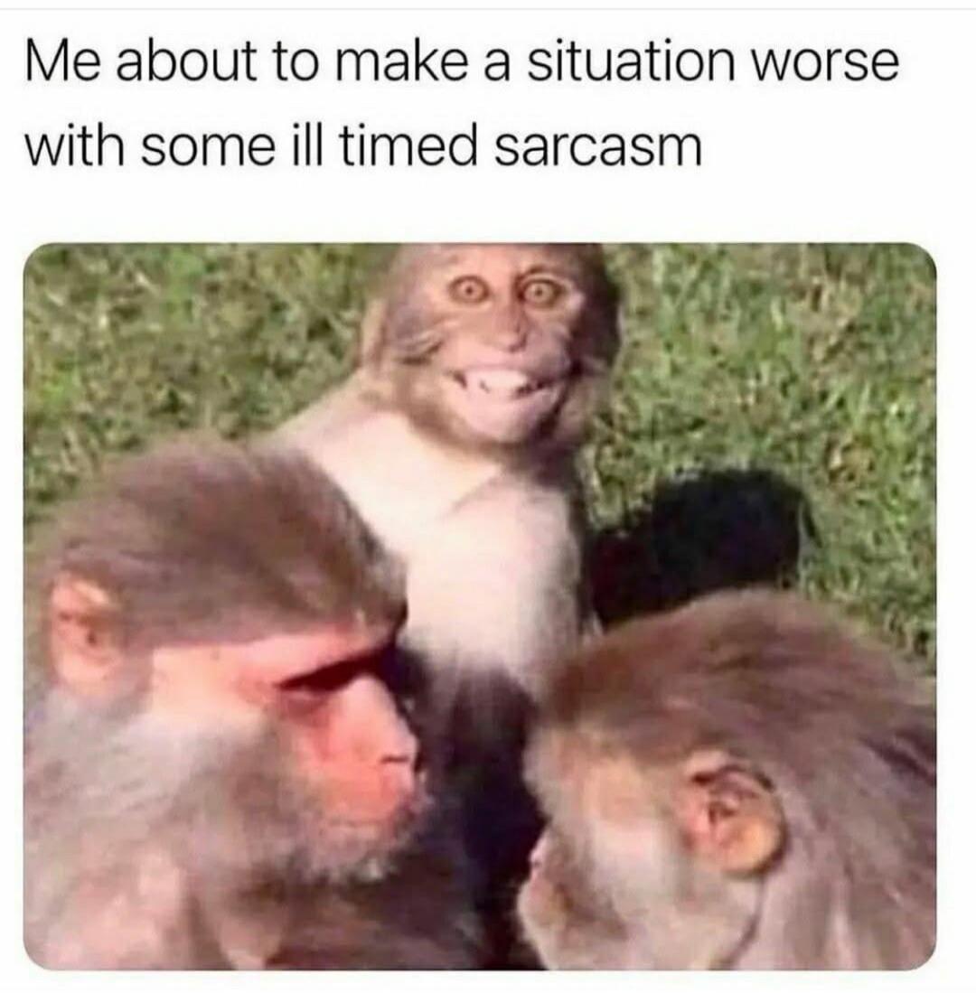 Me about to make a situation worse with some ill timed sarcasm