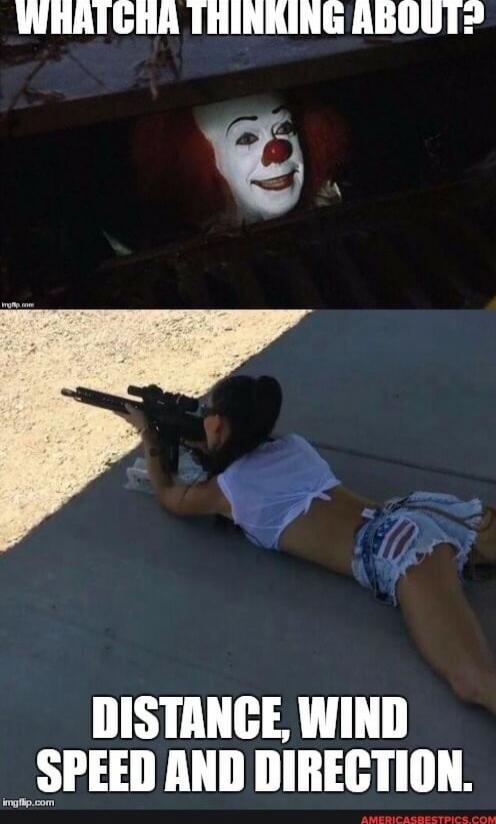 WHAT CHA THINKING ABOUT?
DISTANCE, WIND SPEED AND DIRECTION.