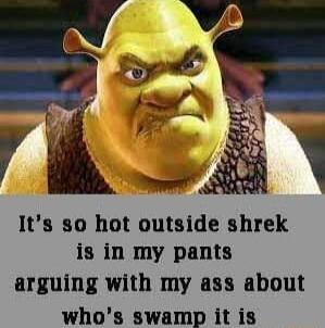 Its so hot outside shrek is in my pants arguing with my ass about whos swamp it is