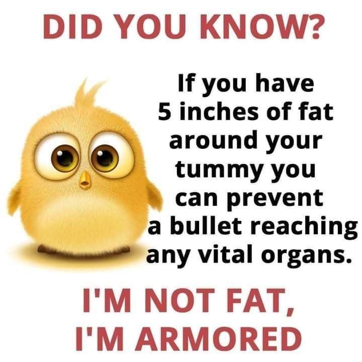 DID YOU KNOW If you have 5 inches of fat around your tummy you can prevent a bullet reaching S any vital organs IM NOT FAT IM ARMORED