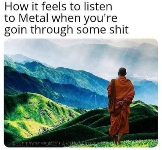 How it feels to listen to Metal when youre goin through some shit