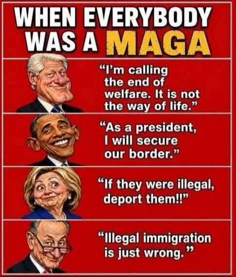 WHEN EVERYBODY WAS A MAGA 