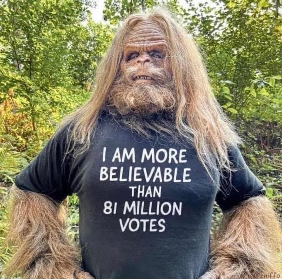 I AM MORE BELIEVABLE THAN 81 MILLION VOTES