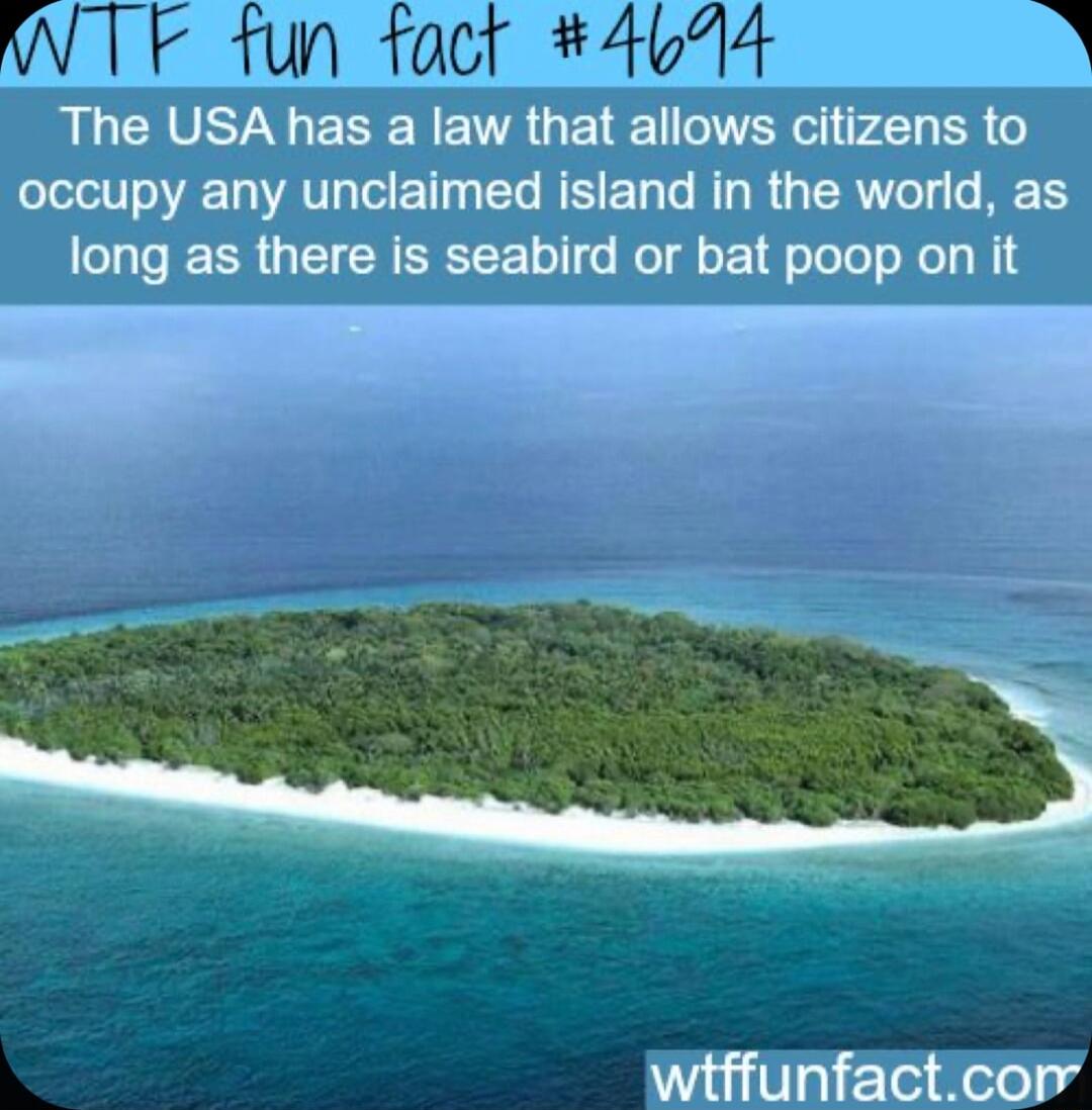 WTF fun fact 4614 The USA has a law that allows citizens to occupy any unclaimed island in the world as long as there is seabird or bat poop on it wiffunfactcor