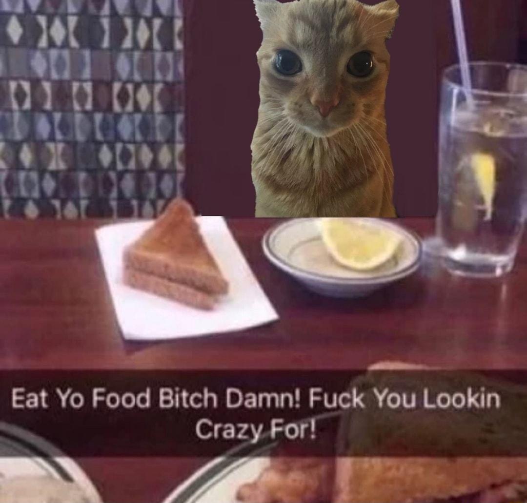 Eat Yo Food Bitch Damn Fuck You Lookin Crazy For