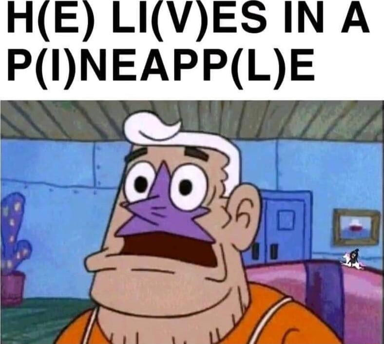 HE LIVES IN A PNEAPPLE 0
