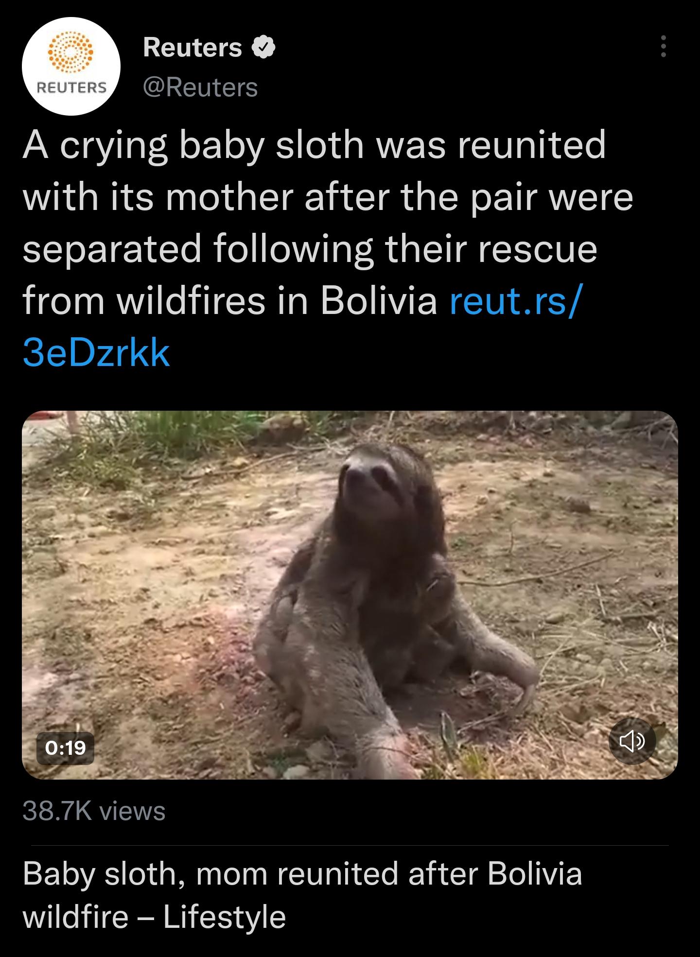 Reuters Reuters A crying baby sloth was reunited with its mother after the pair were separated following their rescue from wildfires in Bolivia reutrs 3eDzrkk REXGQTETS Baby sloth mom reunited after Bolivia wildfire Lifestyle