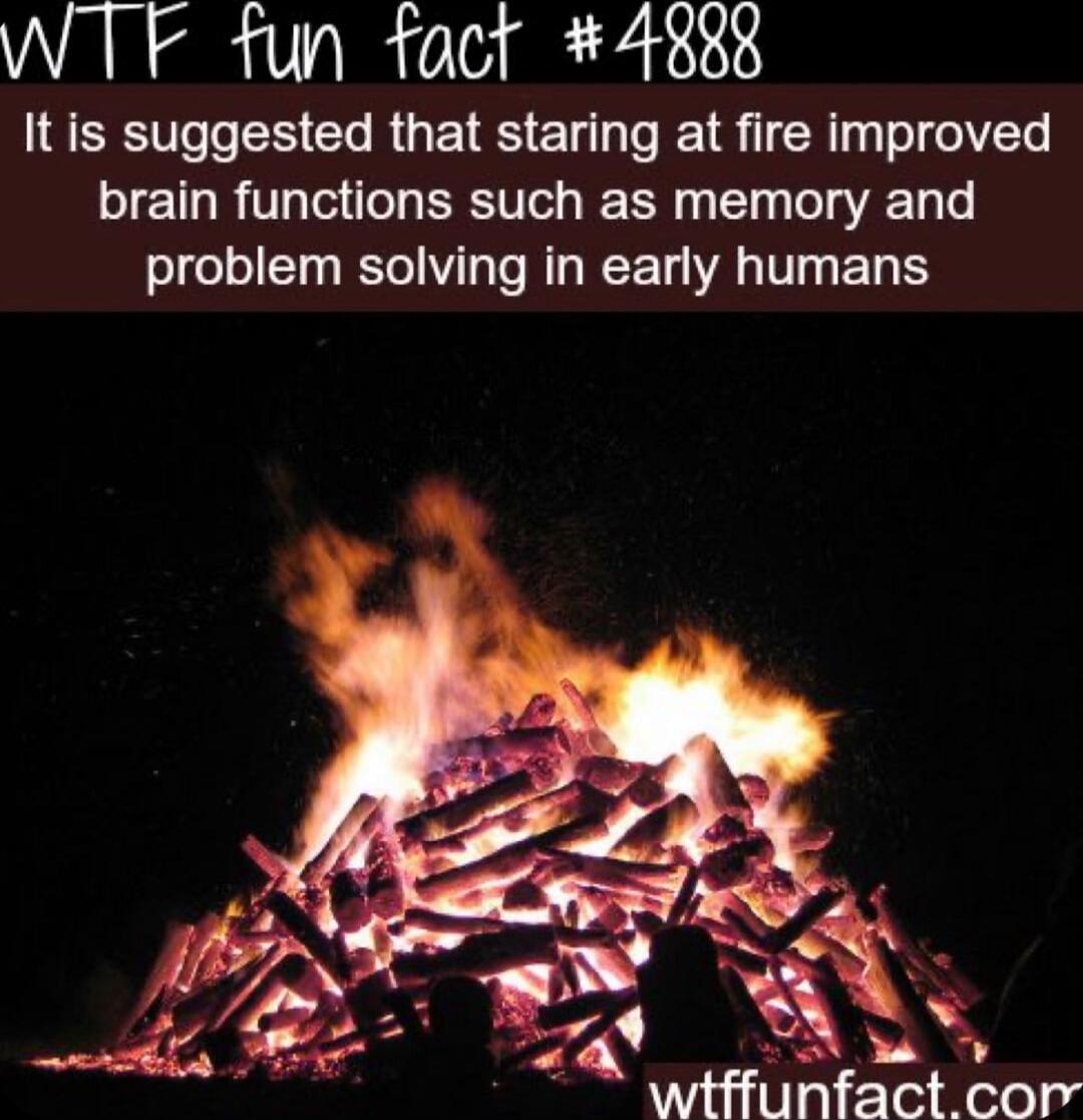 WTF fun fact 4883 It is suggested that staring at fire improved brain functions such as memory and problem solving in early humans R tachCEr