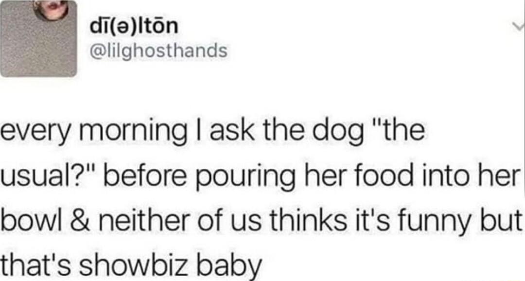 dielton v lilghosthands every morning ask the dog the usual before pouring her food into her bowl neither of us thinks its funny but thats showbiz baby