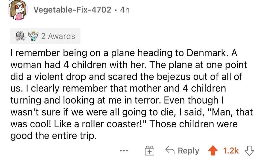 g Vegetable Fix 4702 4h 2 Awards remember being on a plane heading to Denmark A woman had 4 children with her The plane at one point did a violent drop and scared the bejezus out of all of us clearly remember that mother and 4 children turning and looking at me in terror Even though wasnt sure if we were all going to die said Man that was cool Like a roller coaster Those children were good the ent