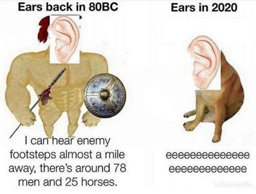 Ears back in 80BC can hear enemy footsteps almost a mile away theres around 78 men and 25 horses Ears in 2020 eeeeeeeeeeeeee eeeeeeeeeeeee