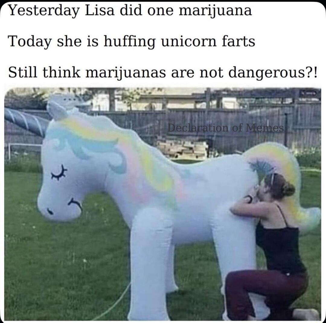 Yesterday Lisa did one marijuana Today she is huffing unicorn farts Still think marijuanas are not dangerous