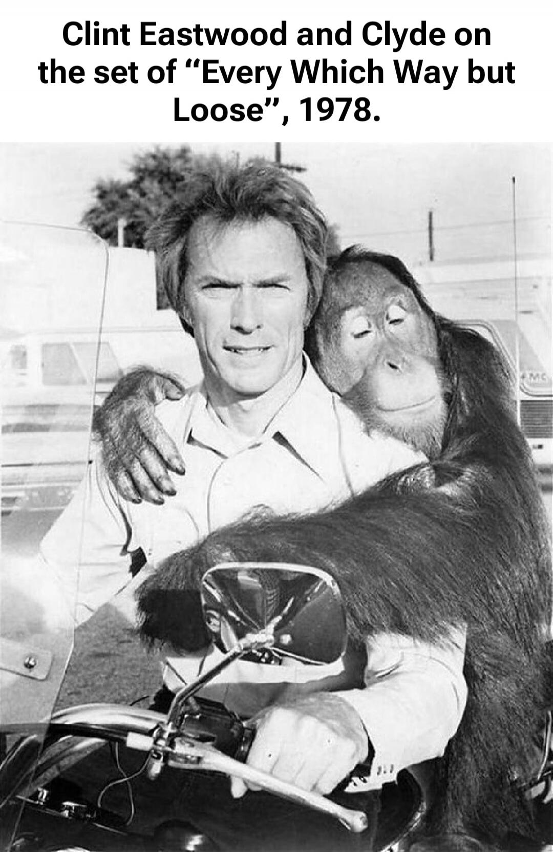 Clint Eastwood and Clyde on the set of “Every Which Way but Loose”, 1978.