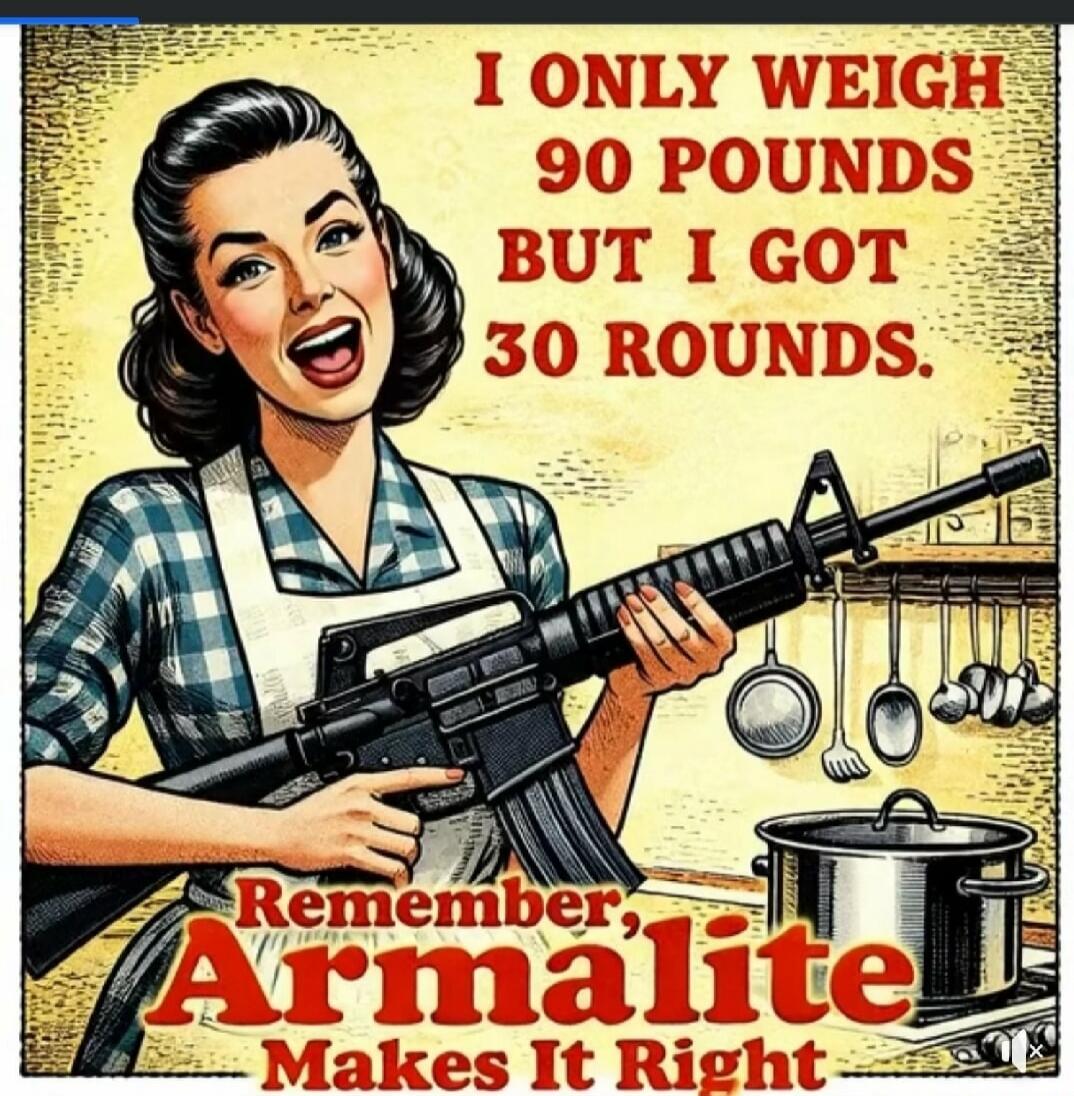 I ONLY WEIGH 90 POUNDS BUT I GOT 30 ROUNDS. Remember, Armalite Makes It Right