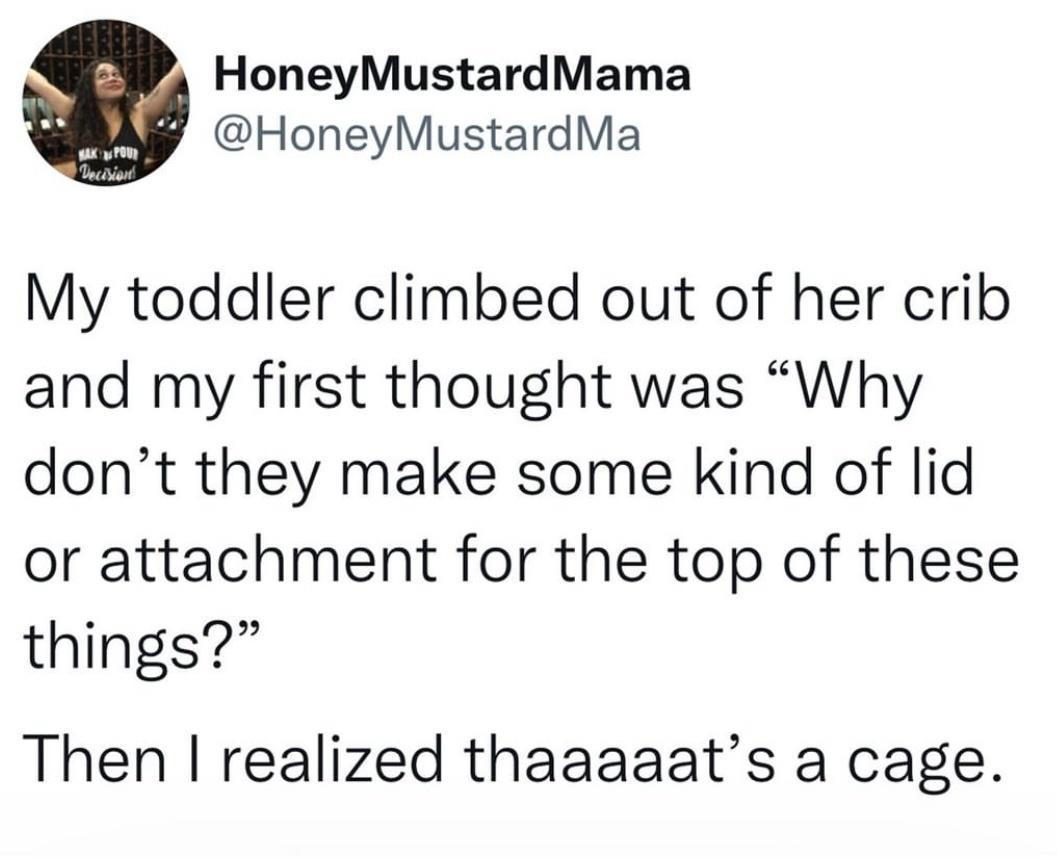 HoneyMustardMama HoneyMustardMa My toddler climbed out of her crib and my first thought was Why dont they make some kind of lid or attachment for the top of these things Then realized thaaaaats a cage
