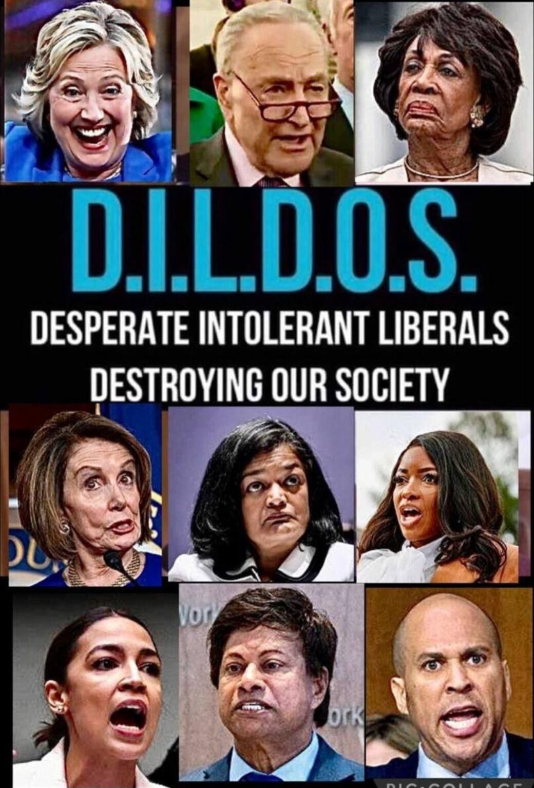 D.I.L.D.O.S. DESPERATE INTOLERANT LIBERALS DESTROYING OUR SOCIETY