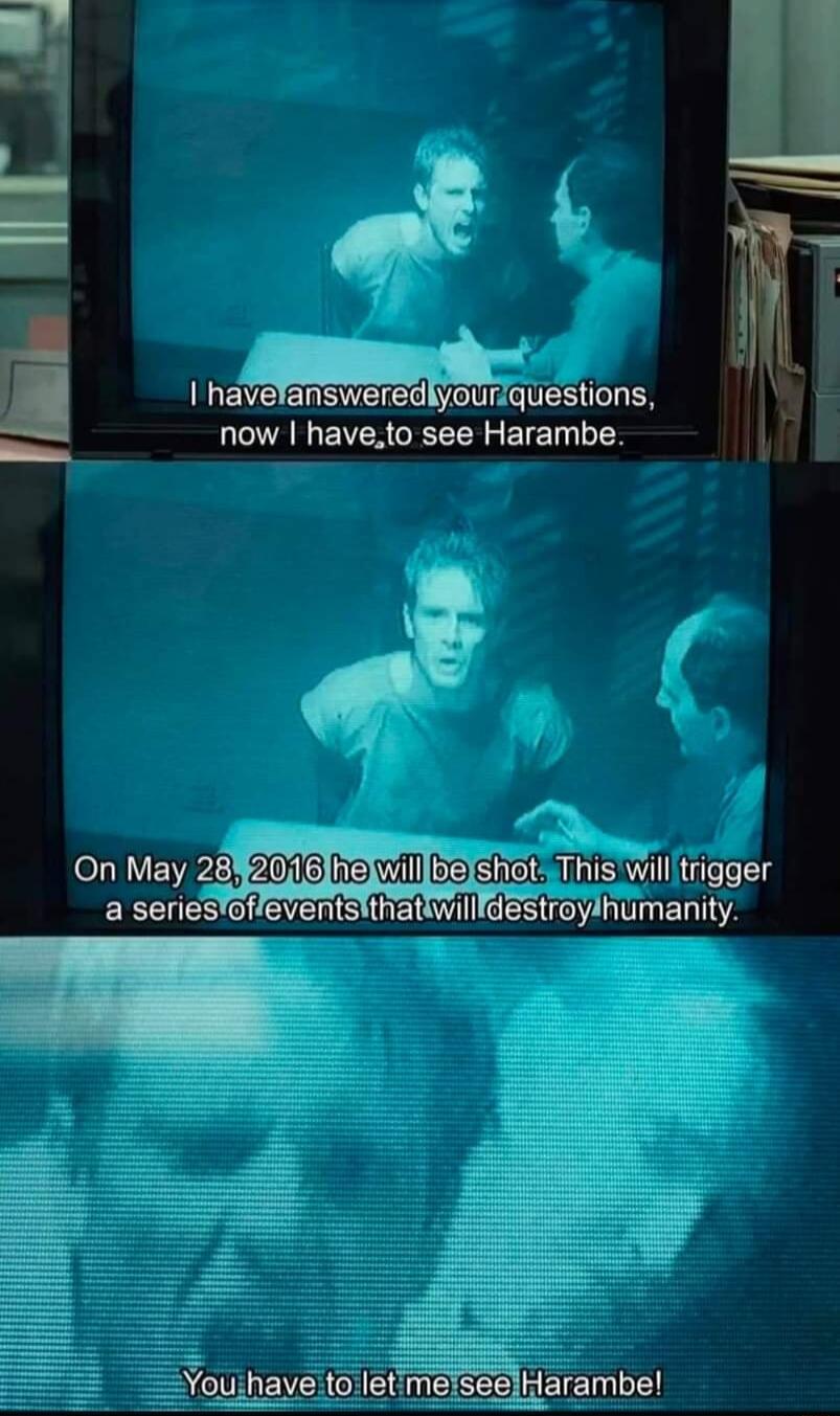 1 haMwqhsons now haveto see Harambe Y