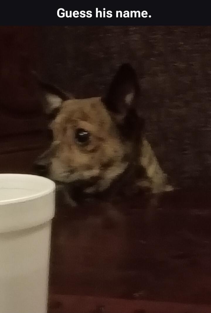 Guess his name.