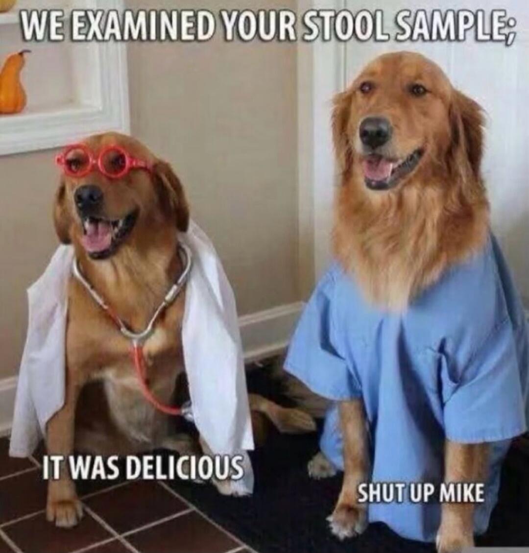 WE EXAMINED YOUR STOOL SAMPLE; IT WAS DELICIOUS SHUT UP MIKE