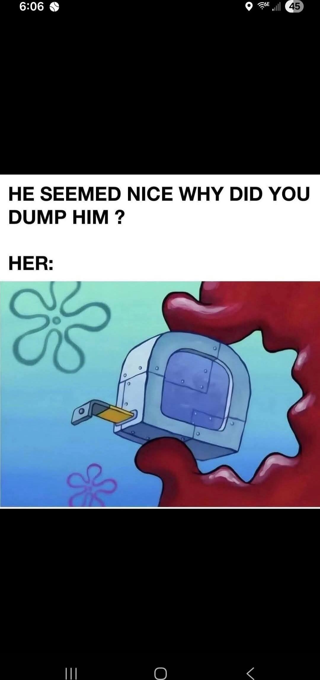 HE SEEMED NICE WHY DID YOU DUMP HIM ? HER: