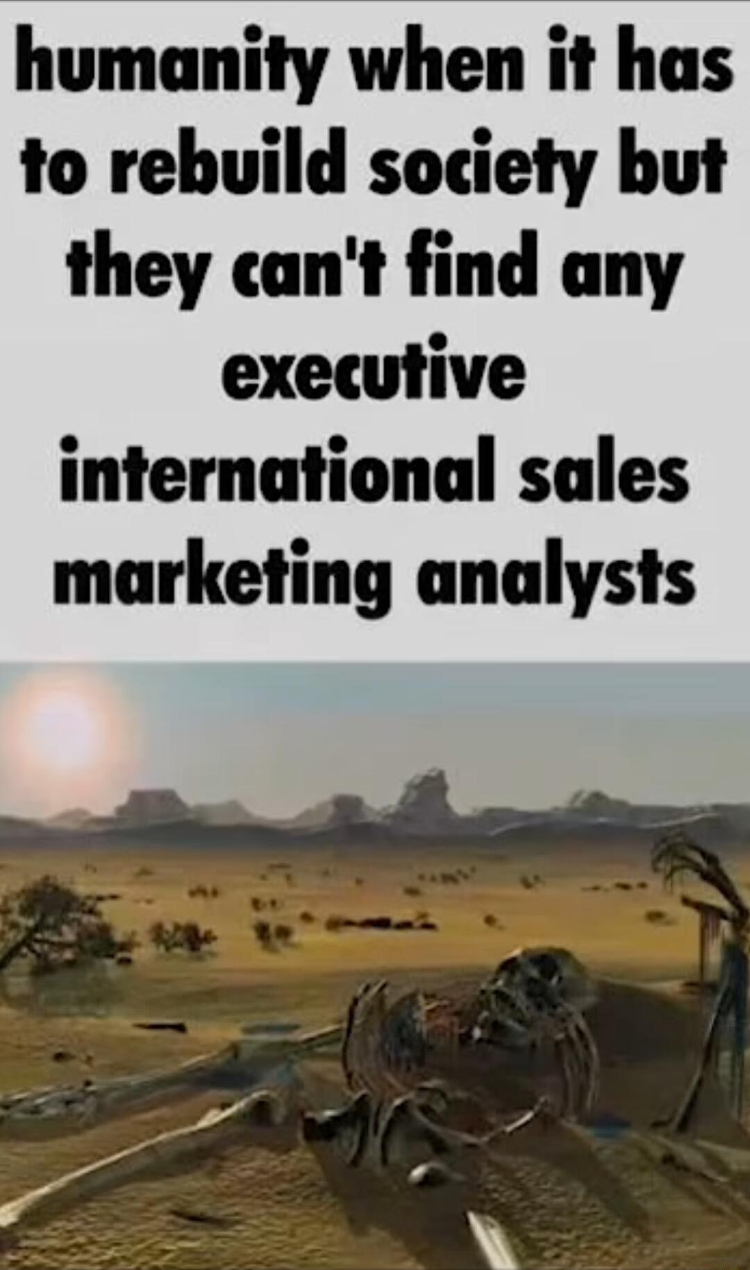 humanity when it has to rebuild society but they cant find any executive international sales marketing analysts