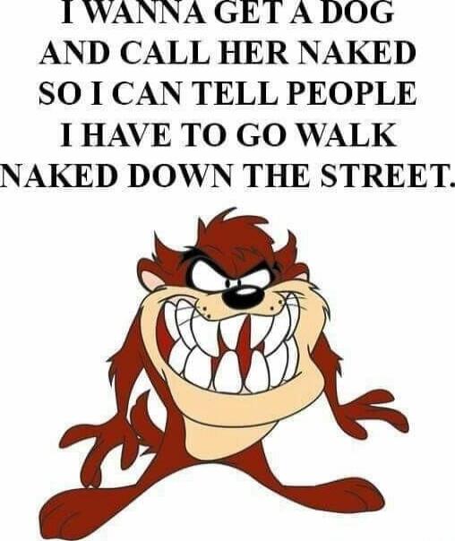 I WANNA GET A DOG AND CALL HER NAKED SO I CAN TELL PEOPLE I HAVE TO GO WALK NAKED DOWN THE STREET.