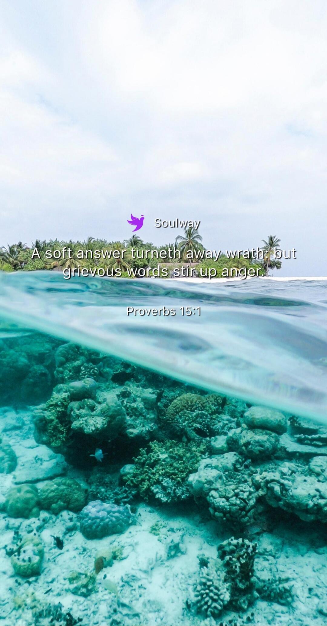 Soulway A soft answer turneth away wrath: but grievous words stir up anger. Proverbs 15:1