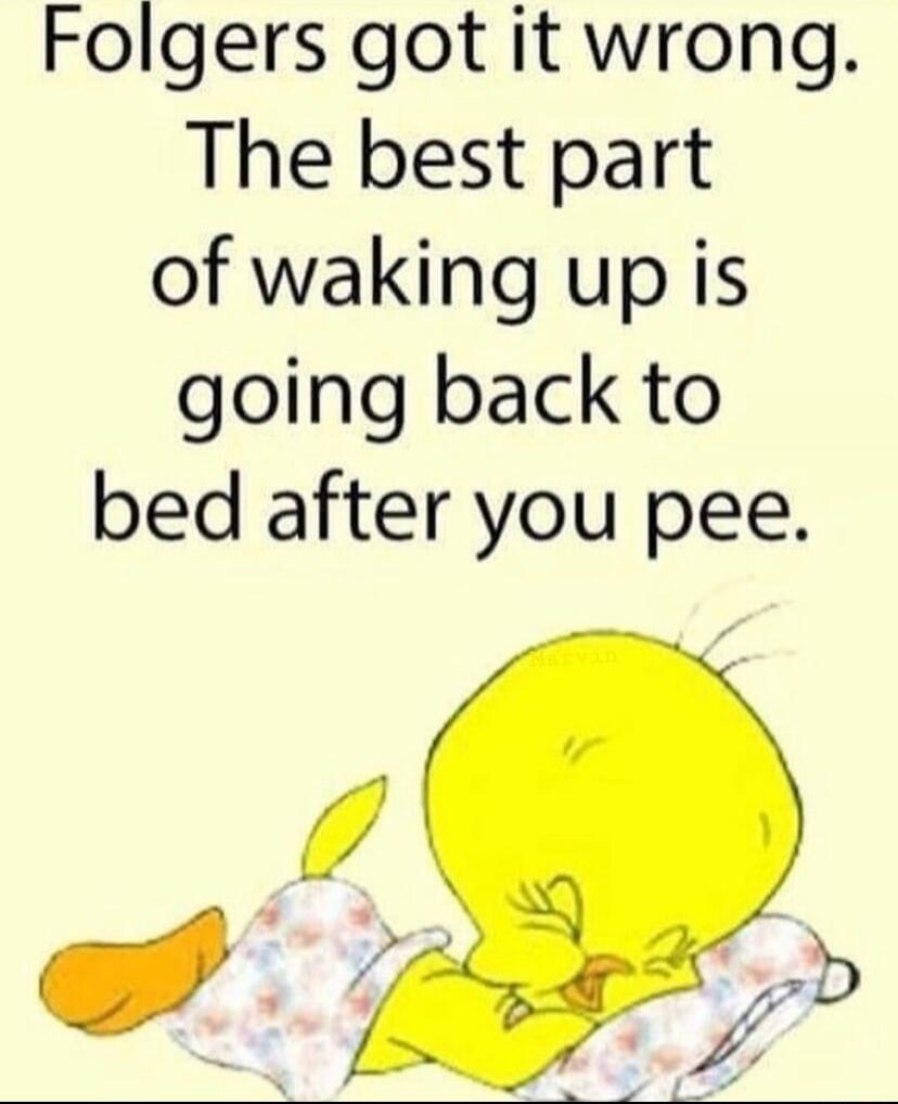 Folgers got it wrong. The best part of waking up is going back to bed after you pee.