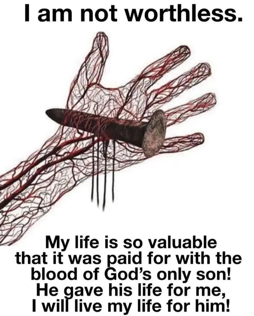am not worthless 7 7 My life is so valuable that it was paid for with the blood of Gods only son He gave his life for me I will live my life for him