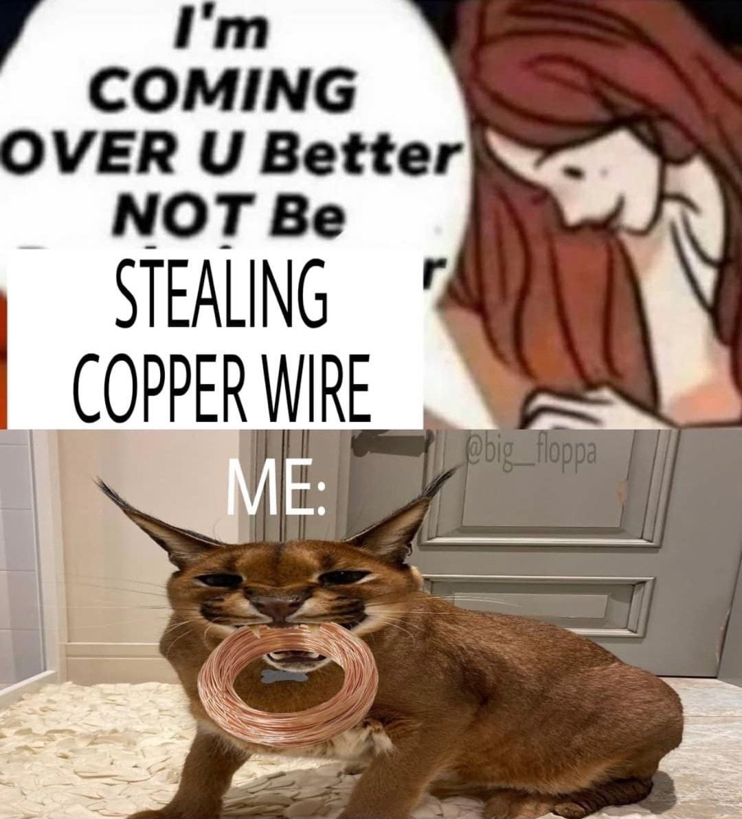 DVER U Better NOT Be STEALNG COPPER WRE