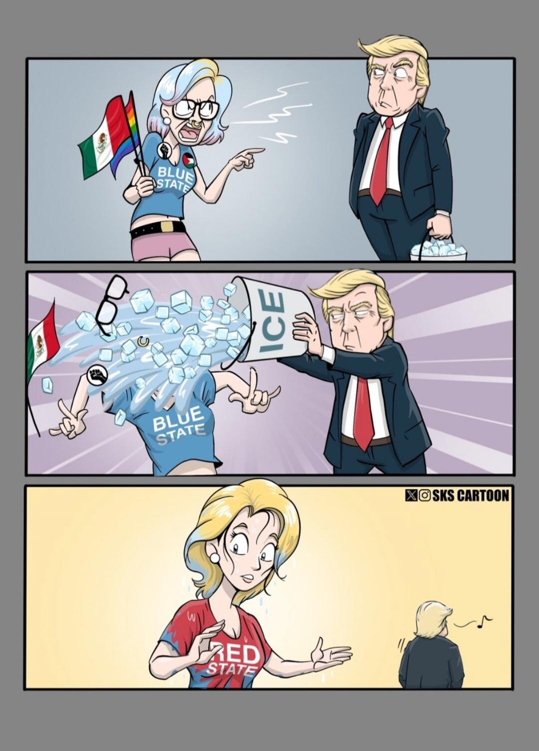 Flag of Mexico, BLUE STATE shirt, ICE, RED STATE shirt