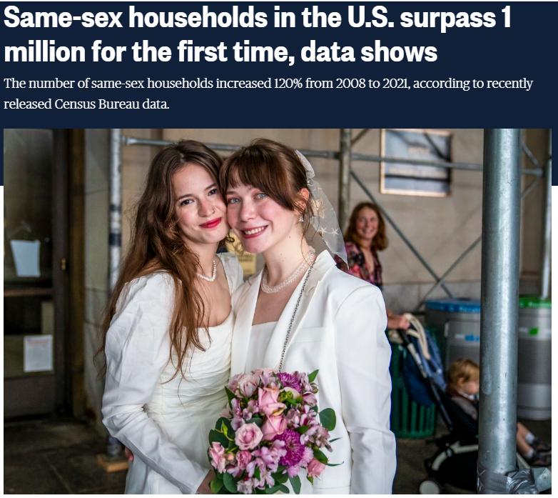 Same sex households in the US surpass 1 million for the first time data shows The number ofsame sex households ncreasec 120 from 2008 to 202 according o recently released Gensus Burea data