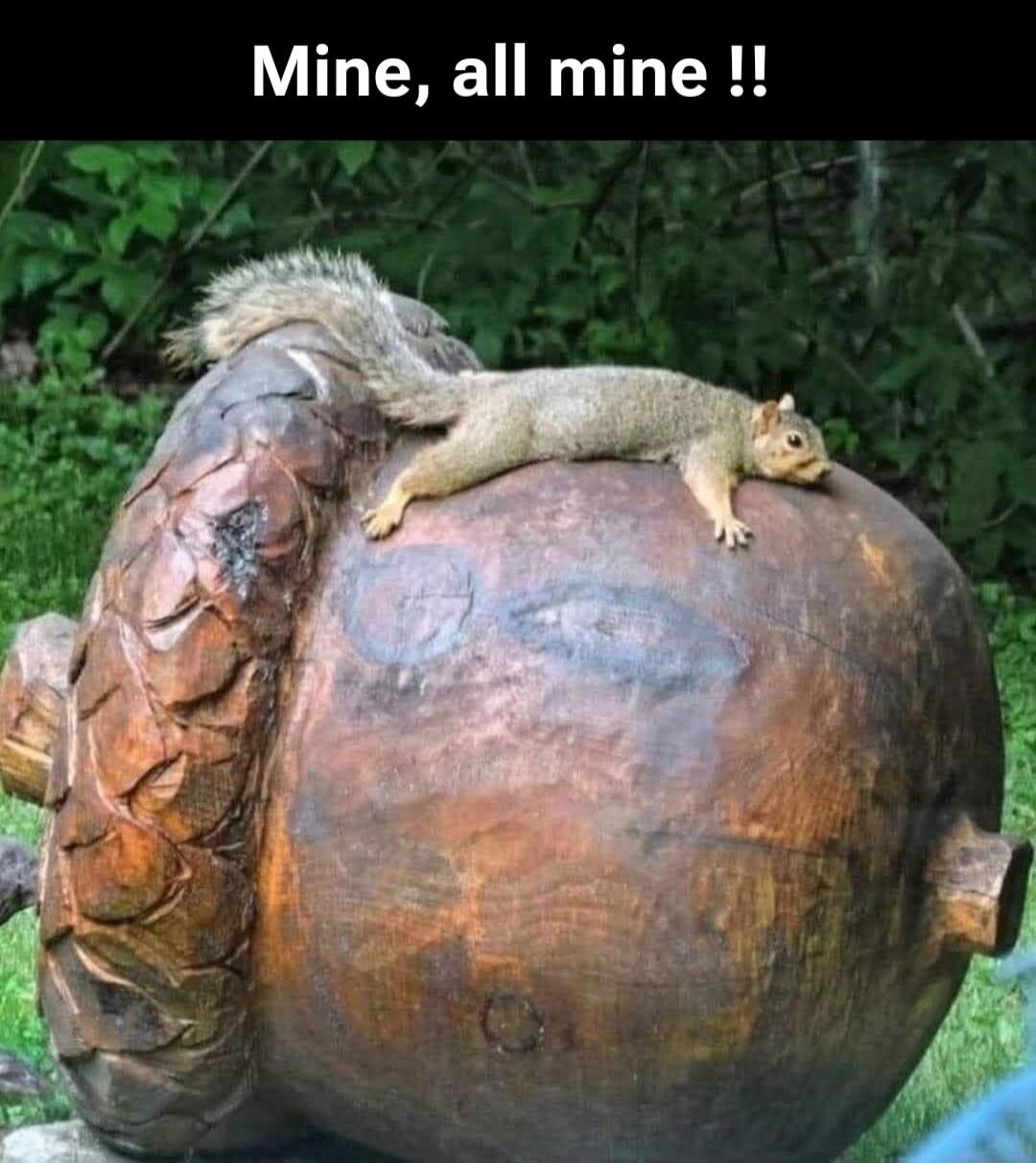 Mine, all mine !!