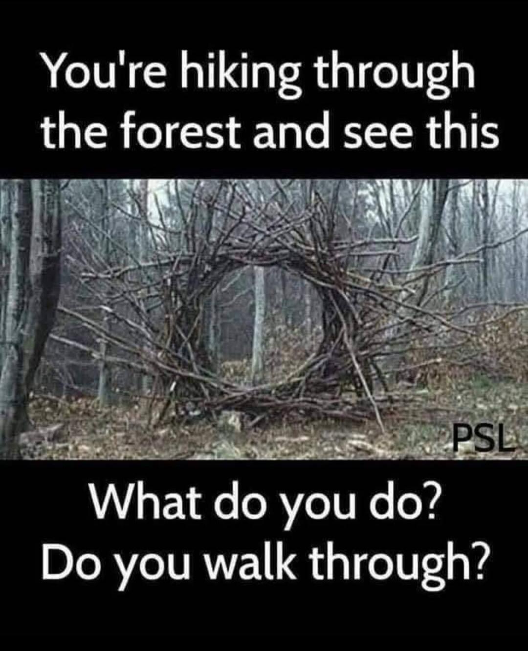 You're hiking through the forest and see this. What do you do? Do you walk through? PSL