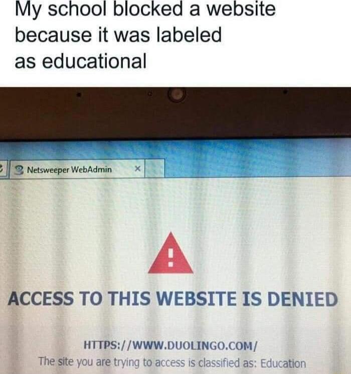 My school blocked a website because it was labeled as educational T Netswecper ebsdmn ACCESS TO THIS WEBSITE IS DENIED HTTPSWWWDUOLINGOCOM trying to a s classified as atior