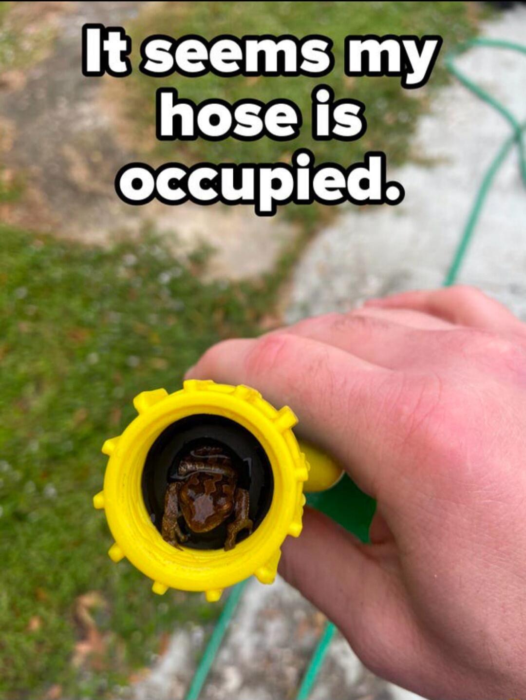 X occupied