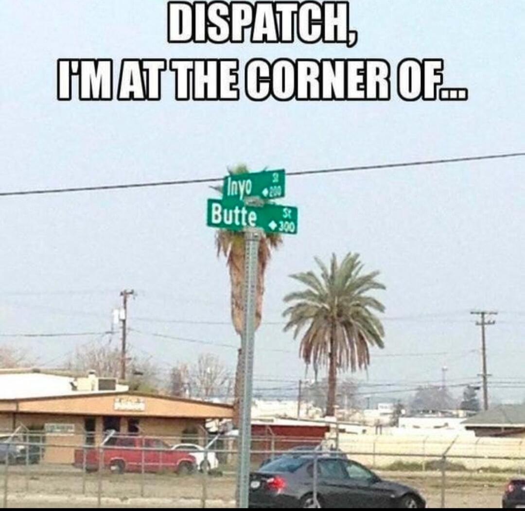 DISPATCH liMATITHECORNEROFS