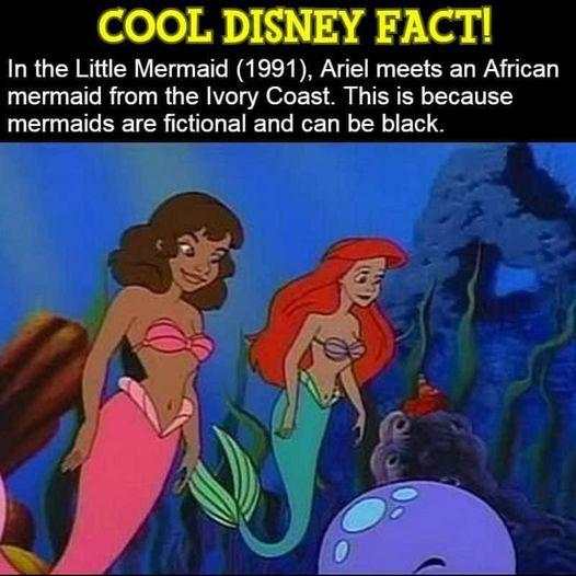 COOL DISNEY FACTI In the Little Mermaid 1991 Ariel meets an African mermaid from the Ivory Coast This is because mermaids are fictional and can be black