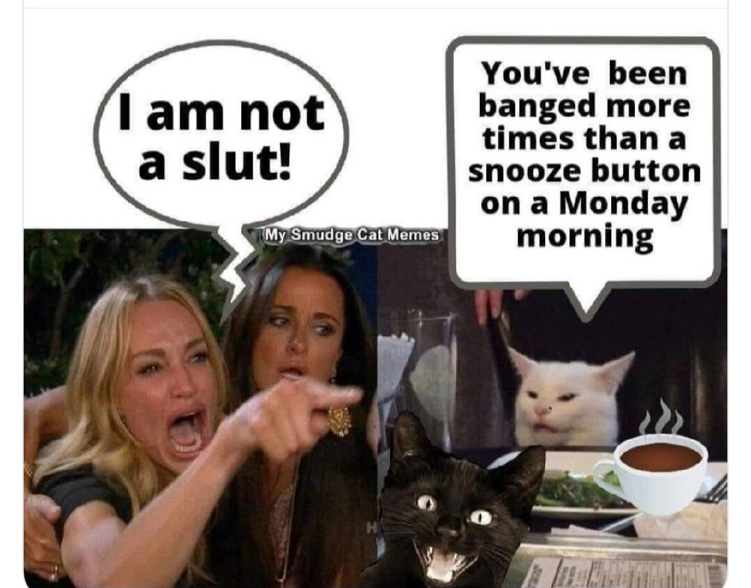 I am not a slut! You've been banged more times than a snooze button on a Monday morning.