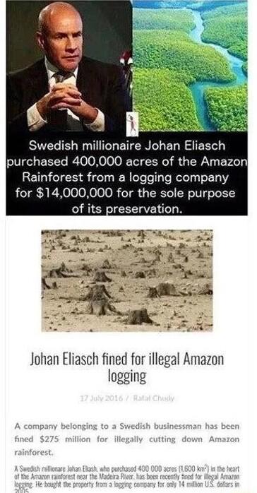 ST R T RN L EL RS TEEL purchased 400000 acres of the Amazon Rainforest from a logging company for 14000000 for the sole purpose of its preservation Johan Eliasch fined for illegal Amazon logging