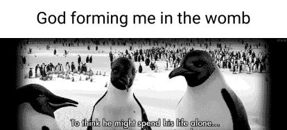 God forming me in the womb