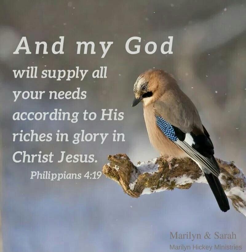 And my God will supply all your needs according to His riches in glory in Christ Jesus. Philippians 4:19