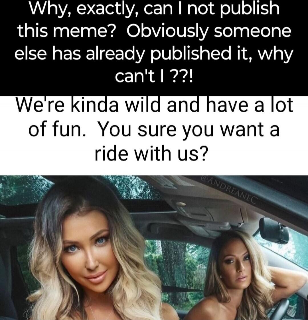 Why, exactly, can I not publish this meme? Obviously someone else has already published it, why can't I ??!\nWe're kinda wild and have a lot of fun. You sure you want a ride with us?