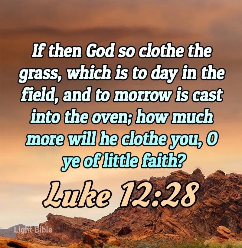 If then God so clothe the grass, which is to day in the field, and to morrow is cast into the oven; how much more will he clothe you, O ye of little faith? Luke 12:28